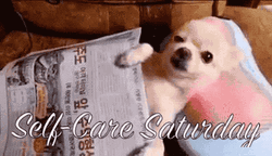 Self Care Saturday For This Dog GIF
