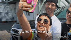 Selfie Demi Lovato Catalina Wine Mixer GIF