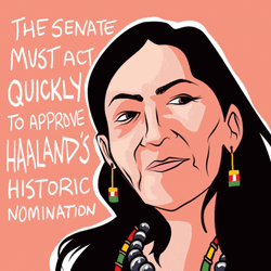 Senate Approve Deb Haaland GIF