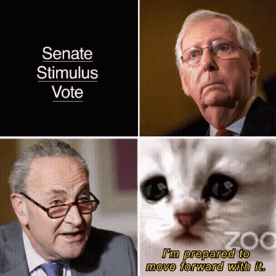 Senate Stimulus Vote Cat Poster GIF