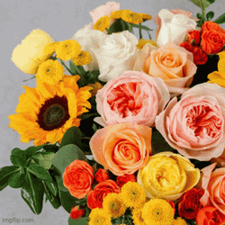 Send Flores Online Delivery GIF
