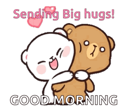 Sending A Big Good Morning Hugs GIF