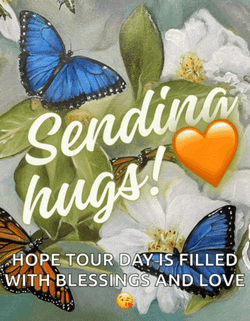 Sending Hugs Butterflies Meme GIF