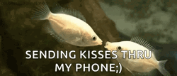Sending Kisses Thru My Phone GIF
