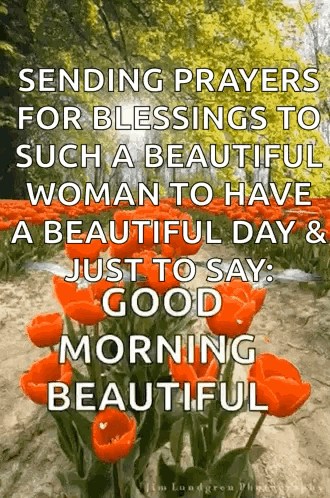 Sending Prayers For Blessings To Such A Beautiful Woman To Have A Beautiful Day And Just To Say Good Morning Beautiful . GIF