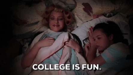 Senior Year College Is Fun Wendi Covey GIF