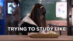 Senior Year Trying To Study Like GIF