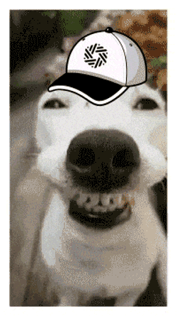 Sentient Dogs GIF
