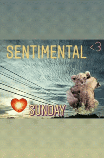 Sentimental Sunday Sign With Hugging Animals GIF