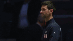 Serbia Flag Djokovic Tennis GIF