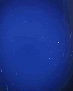 Serdar Aziz Goal GIF