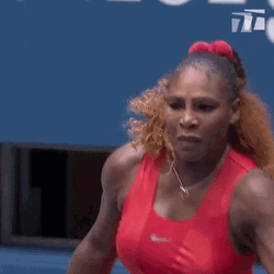 Serena Williams Lefty Racket Open Tennis GIF