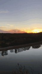 Serenity Now Calming River Phone Footage GIF