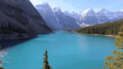 Serenity Now River Clear Calming GIF