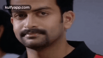 Serious Bearded Man With Mustache GIF