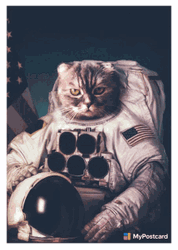 Serious Cool Cat Space Astronaut GIF