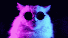 Serious Cool Cat Sunglasses Turning Head Slow GIF
