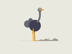 Serious Ostrich Gargling Water  GIF