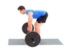 Seriously Bending Over While Lifting Barbell Row GIF