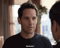 Seriously Paul Rudd GIF
