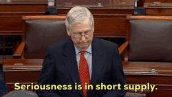 Seriously Talking Mitch Mcconnell Turtle GIF