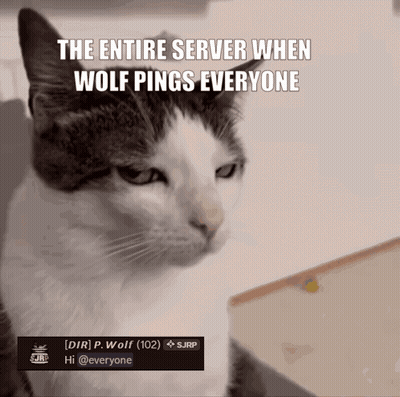 Server Ping Notification GIF