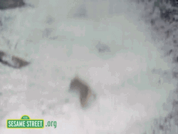 Sesame Street Avalanche GIF