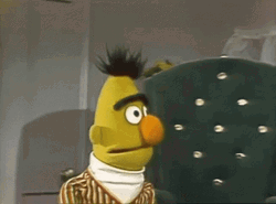 Sesame Street Bert And Ernie GIF