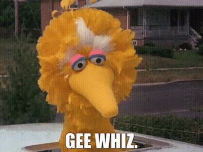 Sesame Street Big Bird Says Gee Whiz While Sitting On A Car GIF