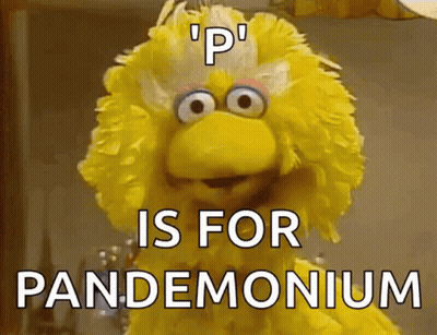 Sesame Street Big Bird Says " P Is For Pandemonium " GIF