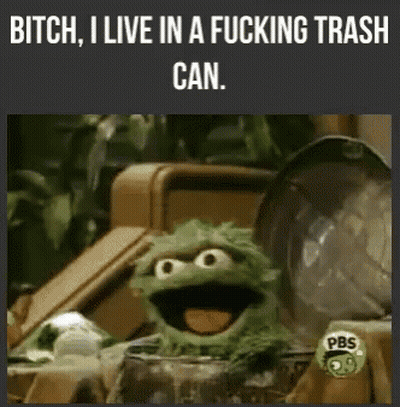 Sesame Street Character Saying Bitch I Live In A Fucking Trash Can GIF