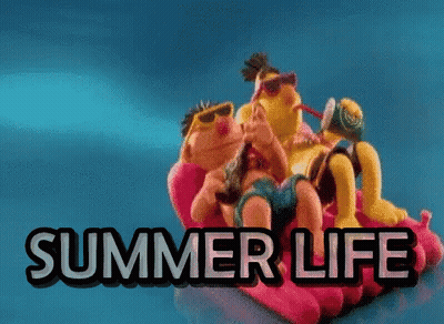 Sesame Street Characters On A Raft With The Words Summer Life GIF