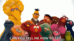 Sesame Street Characters Singing GIF