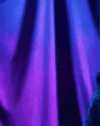 Sesame Street Cookie Monster Peek A Boo GIF