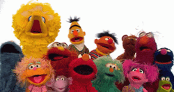 Sesame Street Hide And Seek GIF
