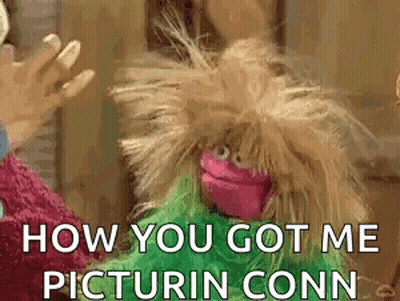 Sesame Street Puppet Asking How You Got Me Pictured Conn GIF
