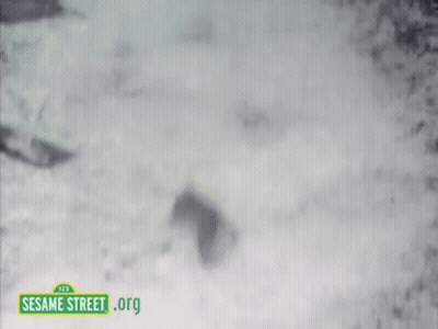 Sesame Street Sign In Snow GIF