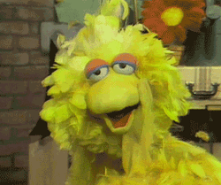 Sesame Street Yellow Big Bird Facepalm GIF