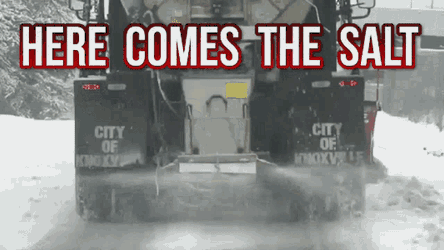 Sestican Salt GIF