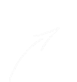 Seta Arrow Sticker GIF