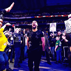 Seth Rollins Celebrating With The Crowd GIF