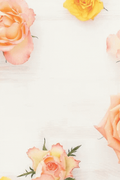 Seven Colours Cards With Roses GIF