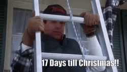Seventeen Days Clark Griswold Christmas Lights GIF