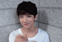 Seventeen Joshua Hong Pointing