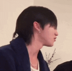 Seventeen Scoups GIF