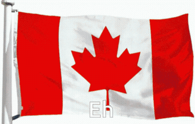 Several Bottles Of Maple Syrup Are Lined Up On A Table And The Word Eh Is Above Them GIF