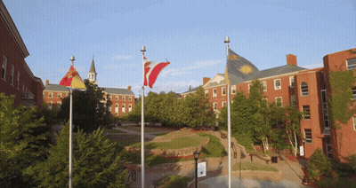 Several Flags Flying In Front Of Large Building GIF