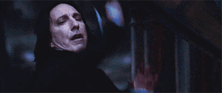 Severus Snape Vs Albus Dumbledore GIF