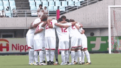 Sevilla Fc Team Iceland GIF