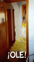 Seville Spain Ole Dance GIF